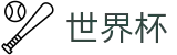FIFA2026世界杯买球_买球避坑指南及小常识
